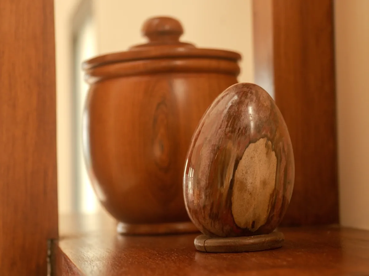Appartement 1 — Aile de Bronze