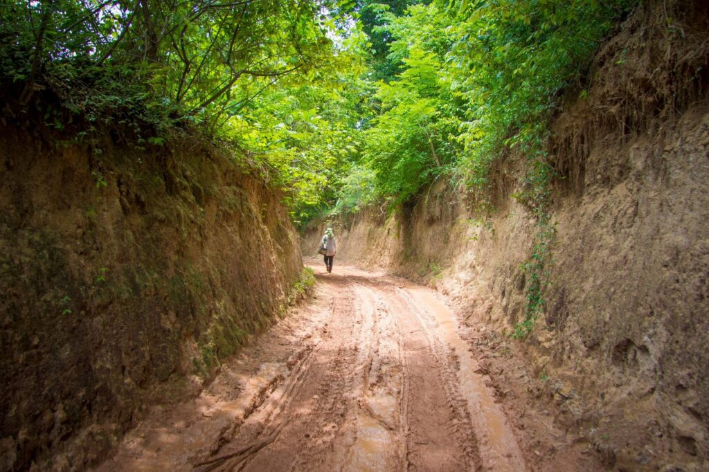 piste de terre détrempée en forêt, typique de la saison des pluies