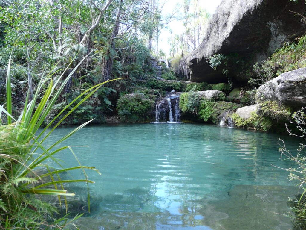 piscine naturelle du parc de l’Isalo, incontournable de la RN7