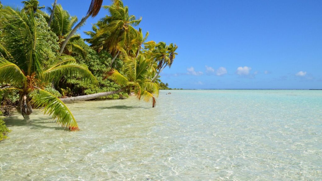 anse bordée de cocotiers, eau claire et peu profonde propice au masque et tuba